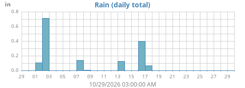 Rain