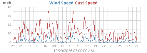 Wind Speed