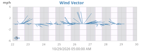Wind Vector