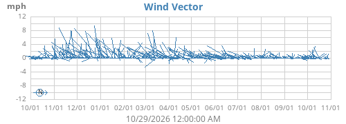 Wind Vector